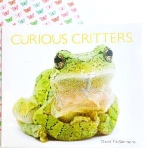 Image showing the cover of a mentor text called Curious Critters with an image of a large green frog 