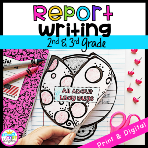 2nd and 3rd grade report writing