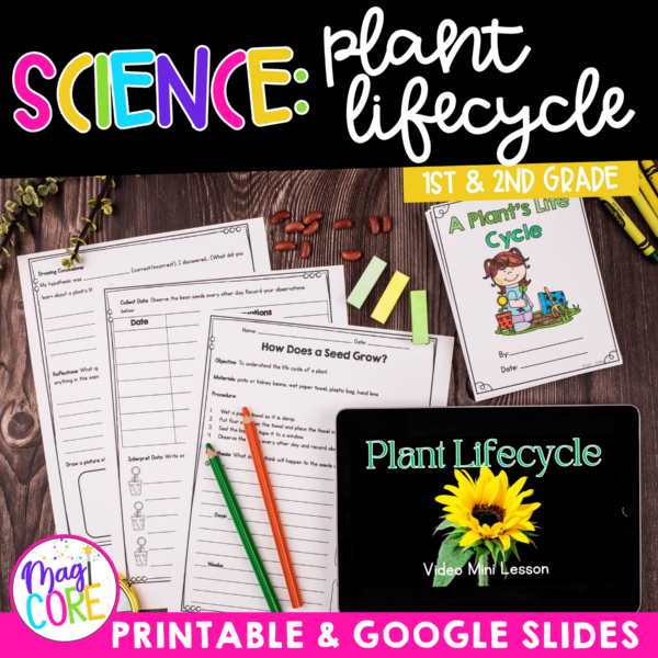 Plant Life Cycle 1st & 2nd Grade Science Unit Worksheets Activities Experiments
