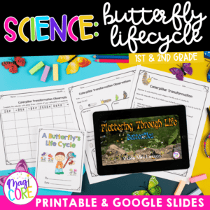 Butterfly Lifecycle - 1st & 2nd Grade Science Unit Activities Worksheets Unit