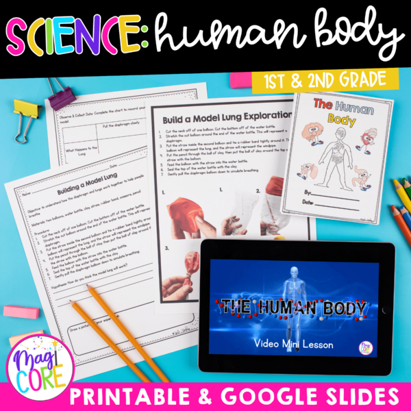 Human Body Systems Activities Worksheets Explorations 1st 2nd Grade Science Unit