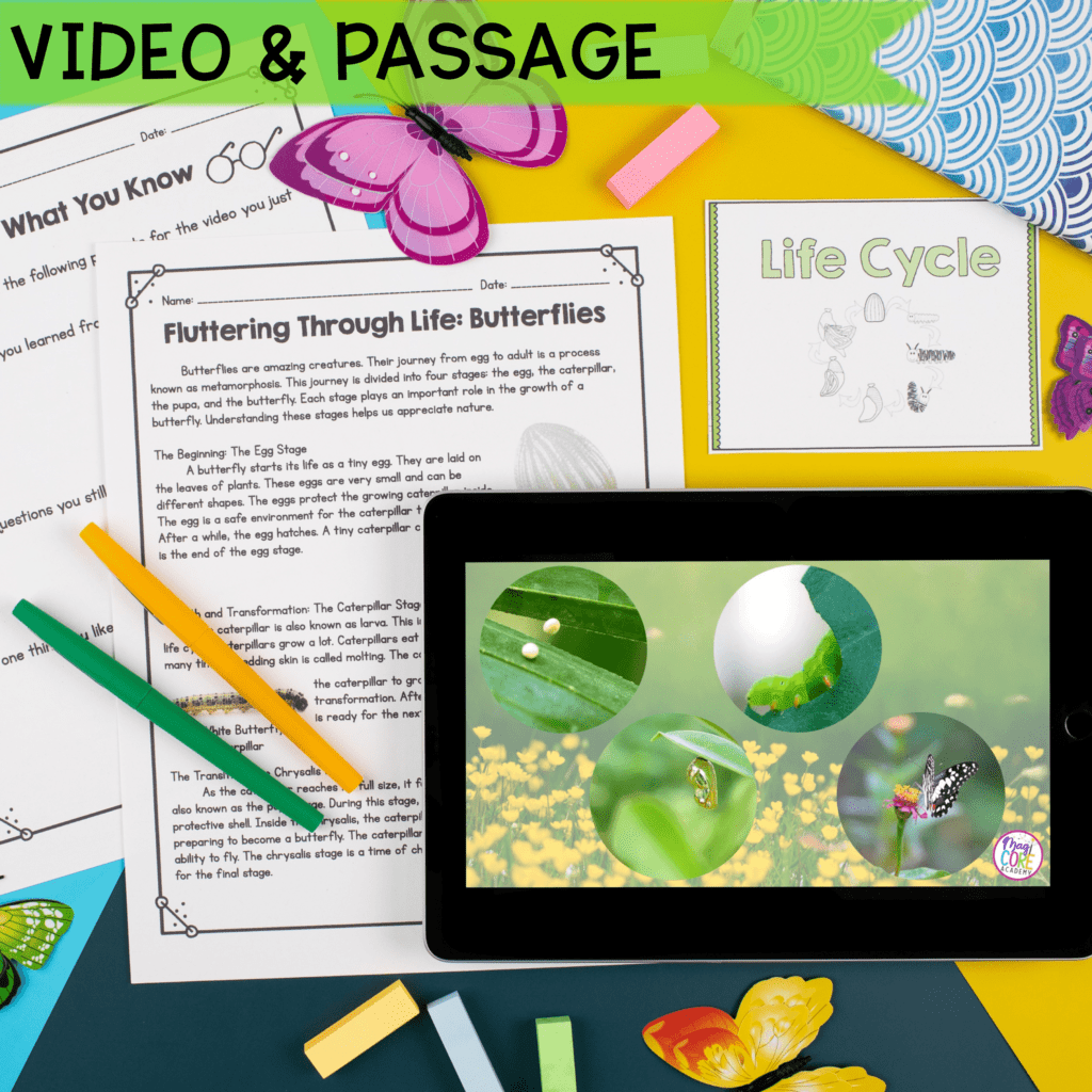 Butterfly Lifecycle - 1st & 2nd Grade Science Unit | MagiCore