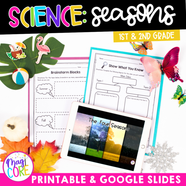 4 Seasons of the Year Weather - 1st & 2nd Grade Science Activities Worksheets