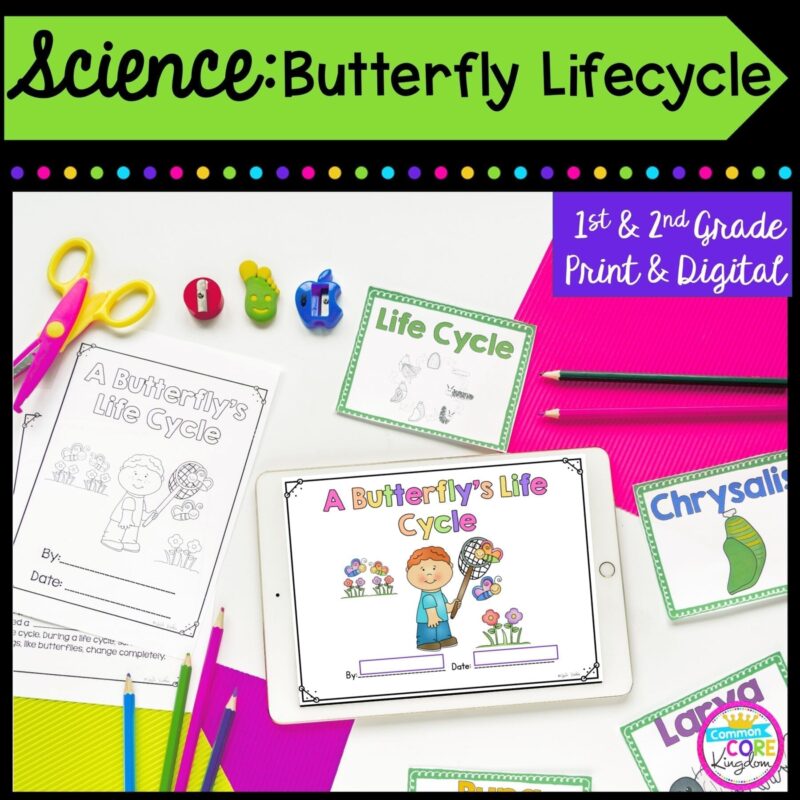 Science: Butterfly Life Cycles for 1st & 2nd Grade Cover showing printable and digital worksheets