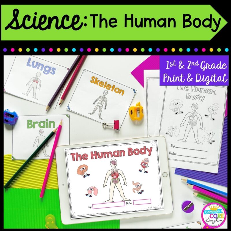 Science: The Human Body for 1st & 2nd Grade Cover showing printable and digital worksheets