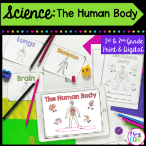 The Human Body - 1st & 2nd Grade Science Unit - Printable & Digital