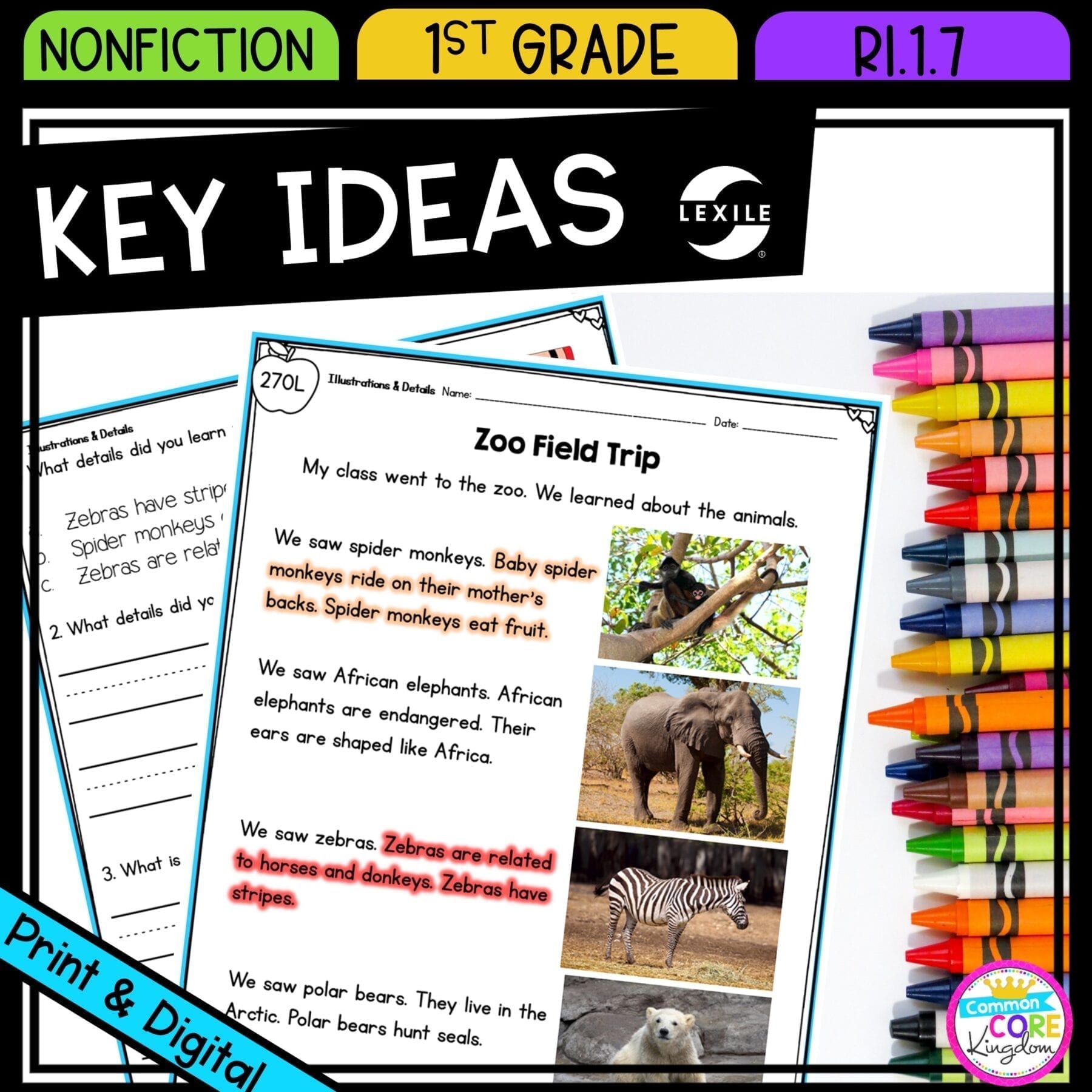 Describe Key Ideas with Illustrations & Details for 1st grade cover showing printable and digital worksheets
