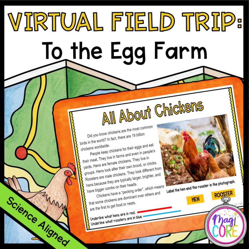Virtual Field Trip to the Egg Farm