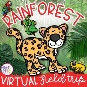 Virtual Field Trip Rainforest Habitat & Animals Digital Resource Activities