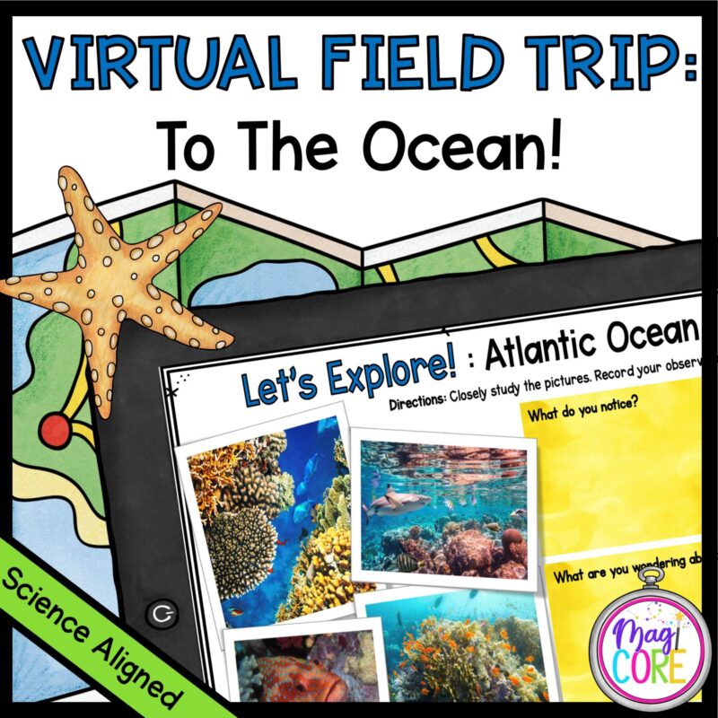 Virtual Field Trip to the Ocean - Google Slides & Seesaw Distance Learning