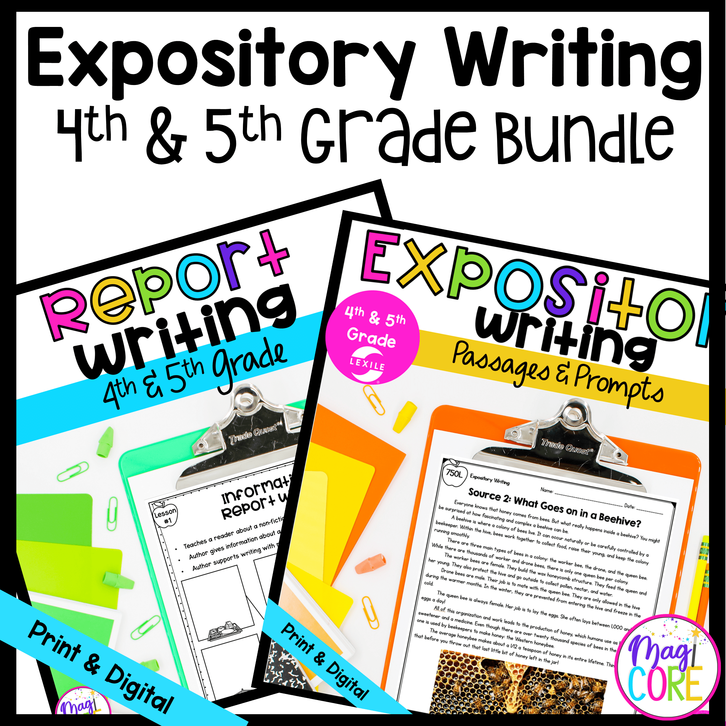 grade 4 expository writing samples