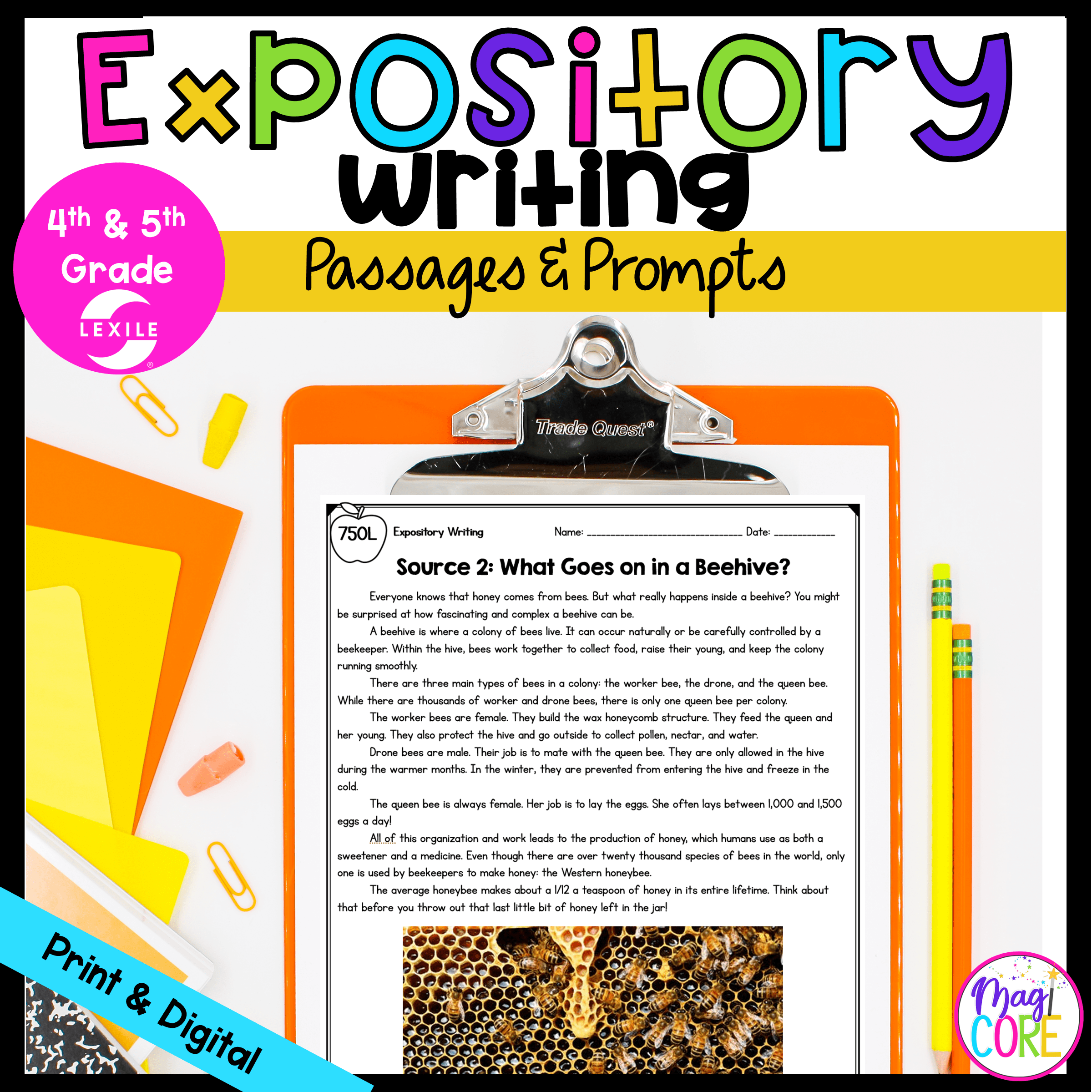 expository essay prompts 3rd grade