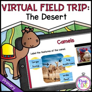 Virtual Field Trip to the Desert for 1st Grade in Seesaw & Google Slides Format with Answer Key