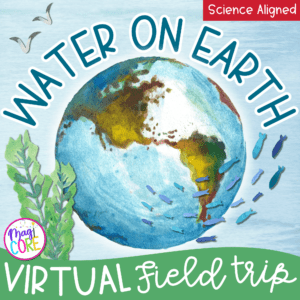 Virtual Field Trip Bodies of Water on Earth Google Digital Resource Activities