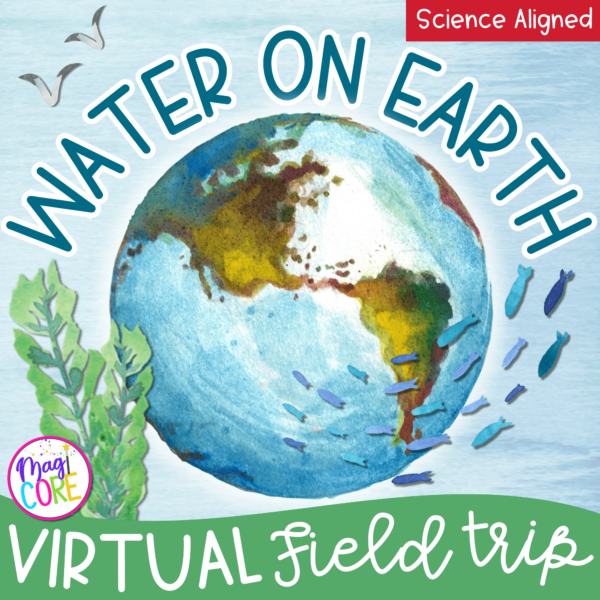 Virtual Field Trip Bodies of Water on Earth Google Digital Resource Activities
