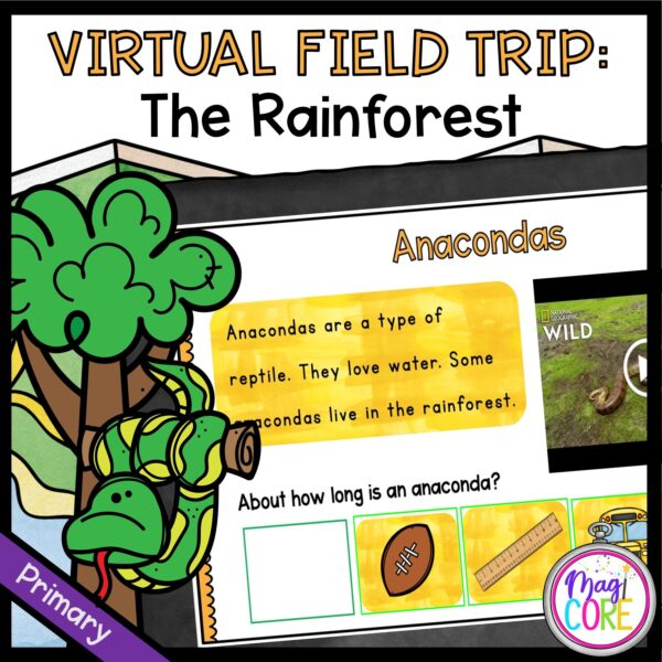 Virtual Field Trip to the Rainforest for 1st Grade in Google & Seesaw Format