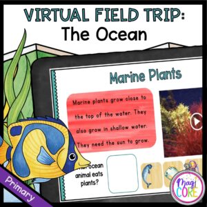 Virtual Field Trip to the Ocean for 1st Grade in Google & Seesaw Format