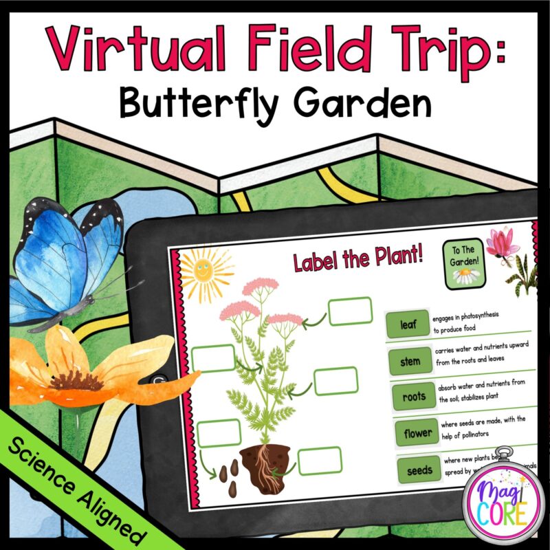 Virtual Field Trip to a Butterfly Garden