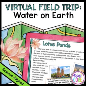 Virtual Field Trip: Water on Earth in Google & Seesaw Format
