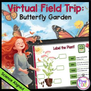 Butterfly Cross-curricular Activity - Garden Virtual Field Trip - Digital Format