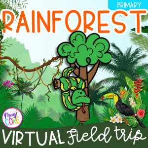 Virtual Field Trip Rainforest Habitat Animals Google Slides Seesaw 1st Grade