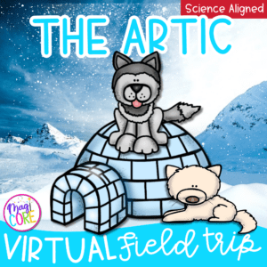 Virtual Field Trip Arctic Google Slides Digital Resource Activities SeeSaw