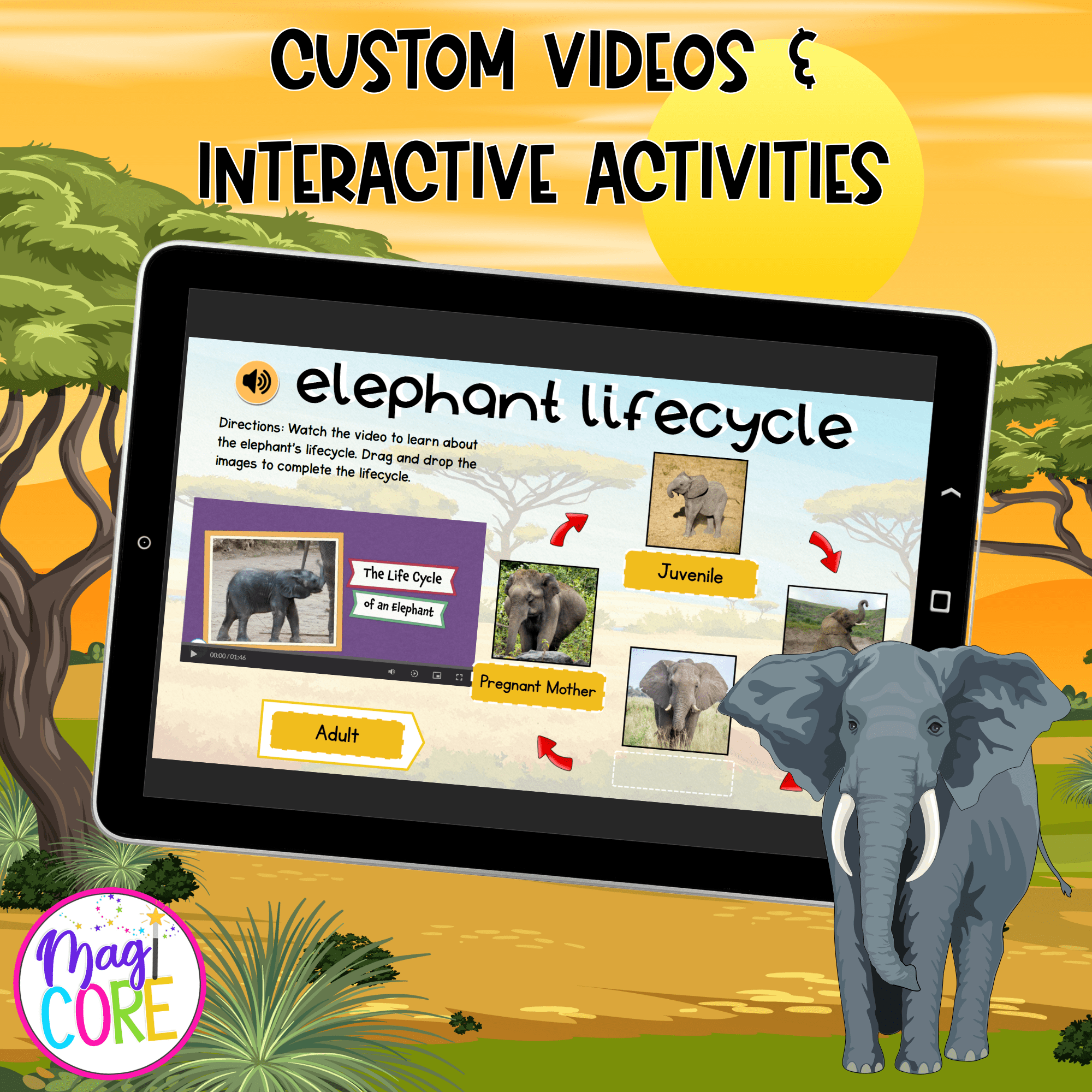 Elephants Lesson Digital Resource Activity Animal Habitat Life Cycle Diet Memory - Image 2