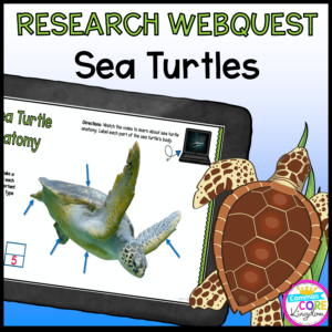 Research Webquest: Sea Turtles! - Google Slides for Distance Learning