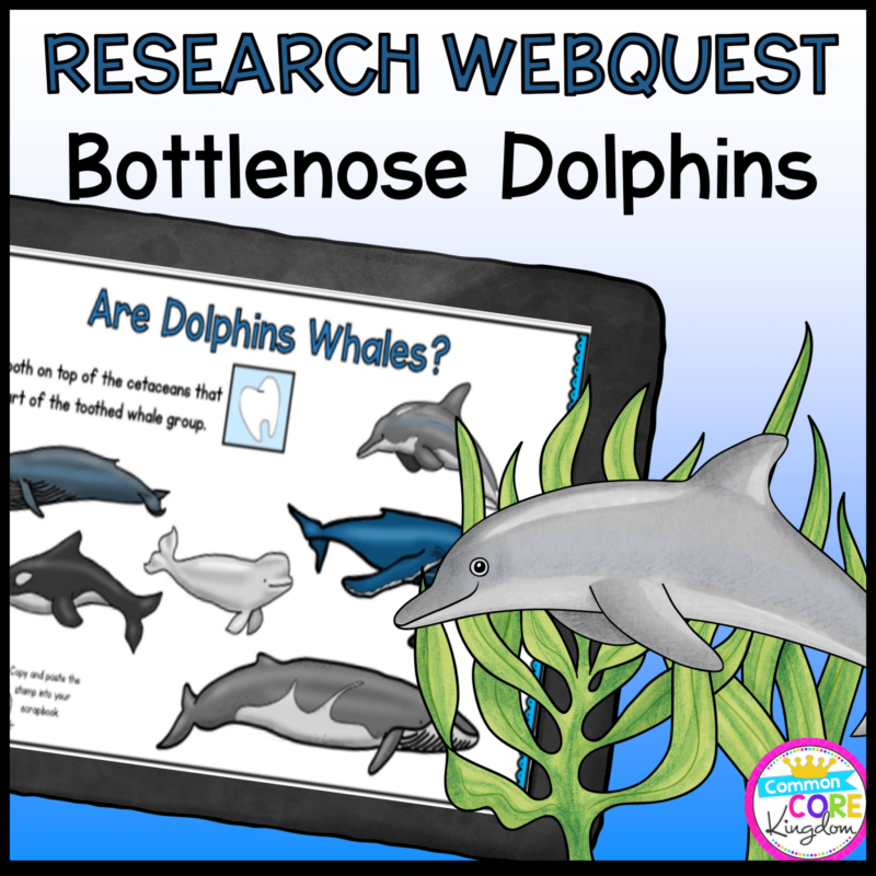 Research Webquest: Dolphins! - Google Slides for Distance Learning