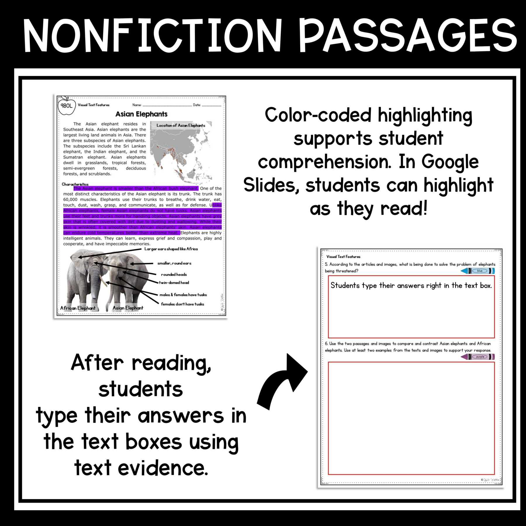 Multiple Sources in Nonfiction Skill Pack – RI.5.7 – Print & Digital - Image 12