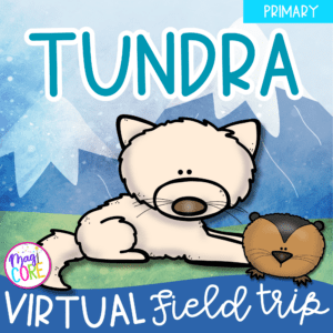 Virtual Field Trip Tundra Biome Habitat 1st Grade Google Slides Seesaw Activity