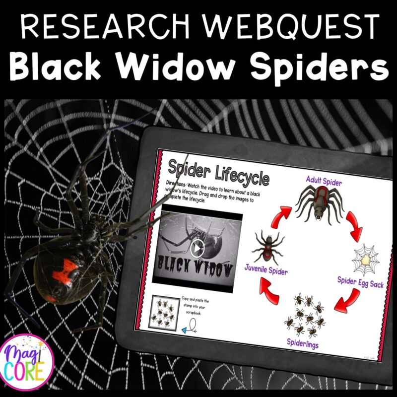 Research Webquest: Black Widow Spiders - 2nd-5th Grade - Google Slides