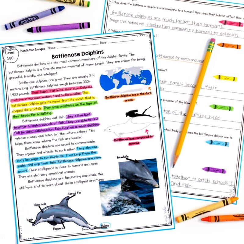 Text Features 2nd & 3rd Grade FL ELA.2.R.2.1 / 3.R.2.1 | MagiCore
