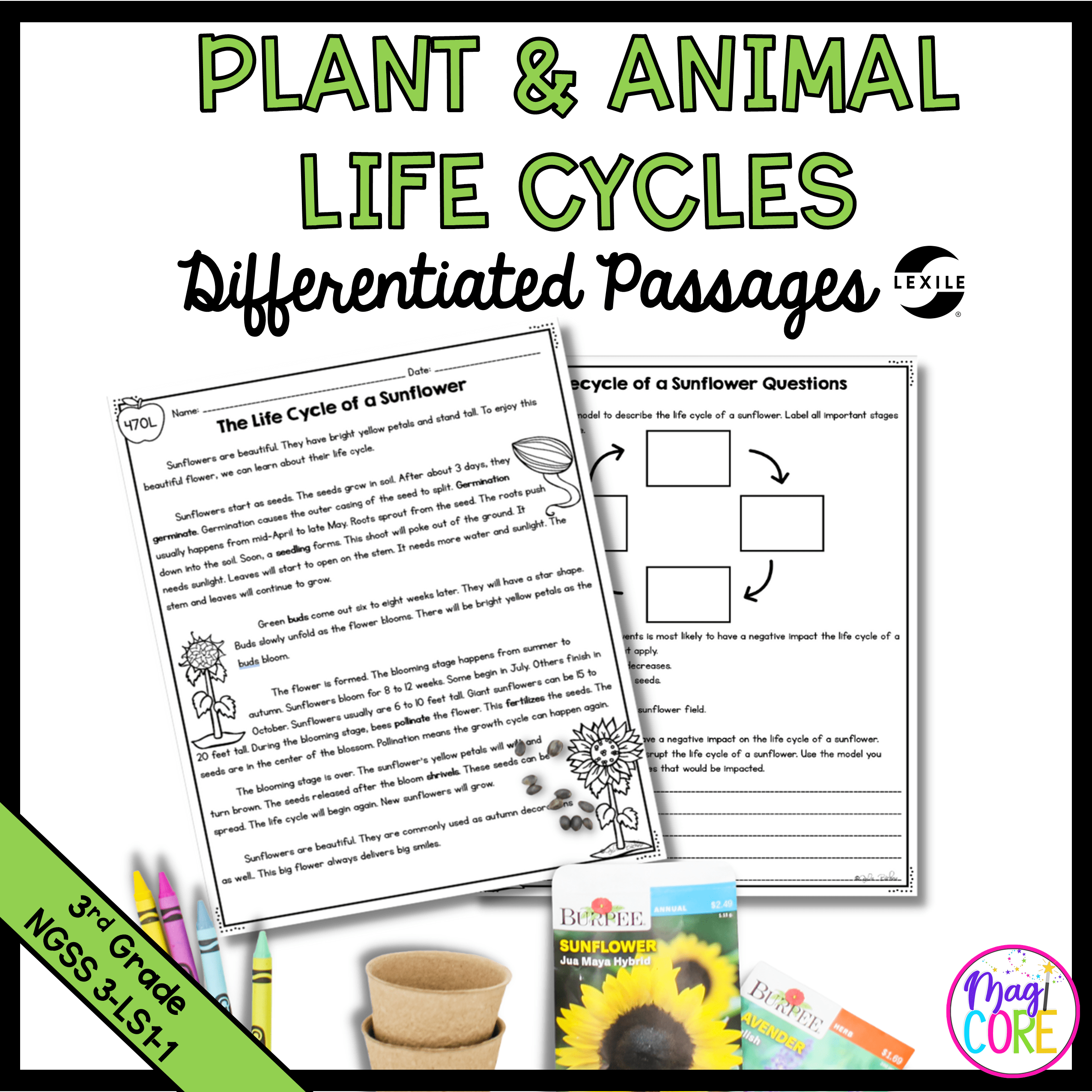 Plant & Animal Life Cycles - 3-LS1-1 | MagiCore