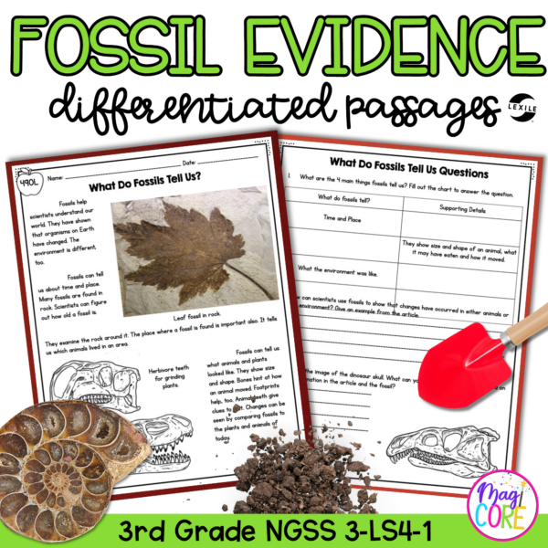 Differentiated Passages: Fossil Evidence of Past Environments | MagiCore