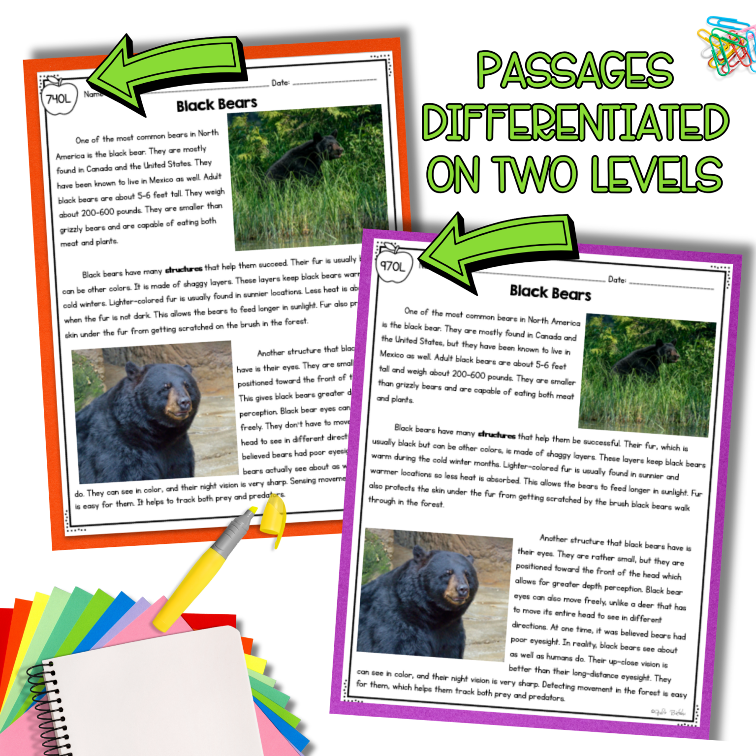 Science Differentiated Passages: Internal & External Structures | MagiCore