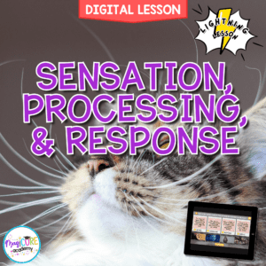 Sensation, Processing & Response Digital Science Activity 4th Grade NGSS 4-LS1-2