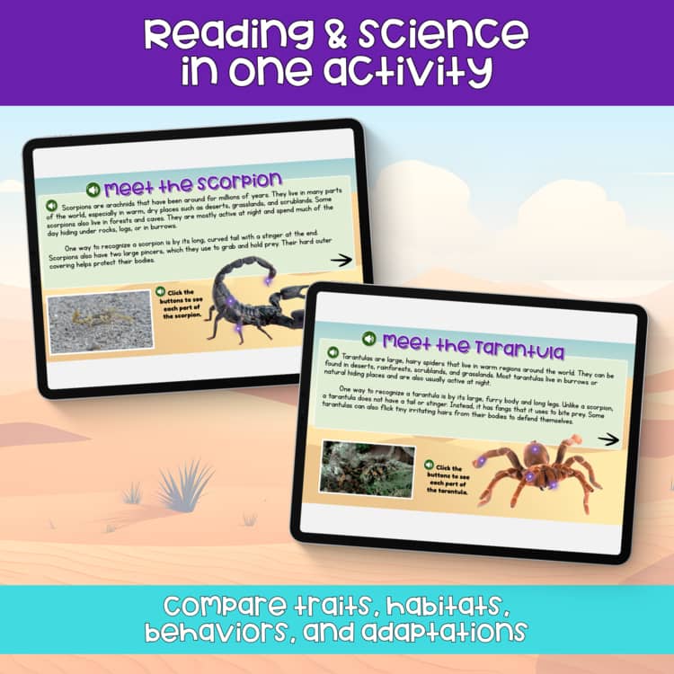 Critter Clash Scorpions v Tarantulas Who Would Win Digital Lesson Activity - Image 3