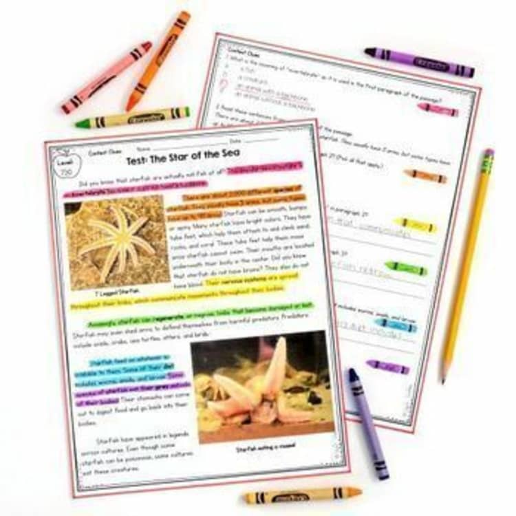 2nd Grade Reading Comprehension Passages & Questions MEGA Bundle Lexile Leveled - Image 3