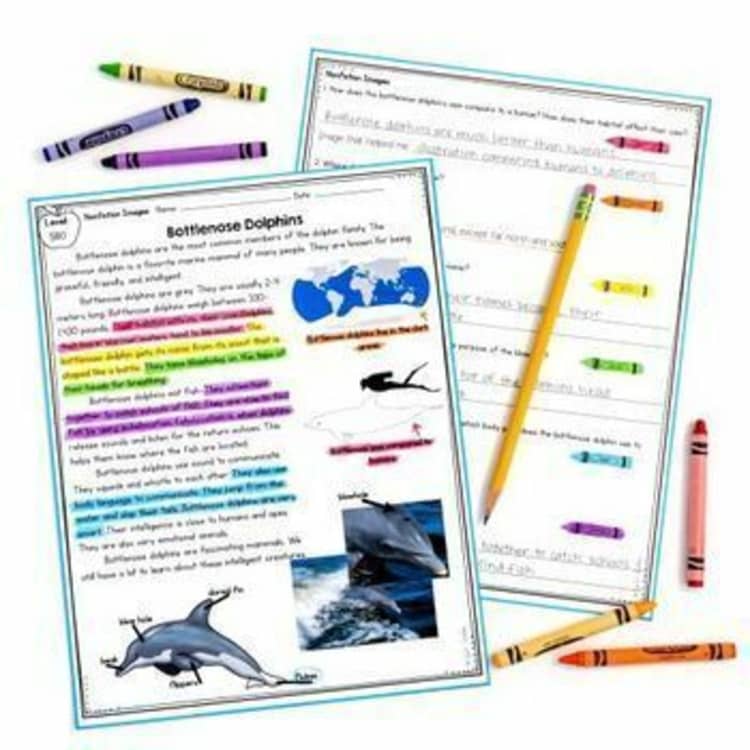 2nd Grade Reading Comprehension Passages & Questions MEGA Bundle Lexile Leveled - Image 4