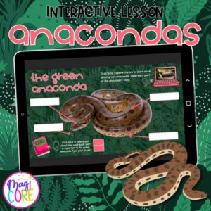 Anaconda Snakes Interactive Lesson Animals Digital Resource Habitat Lifecycle