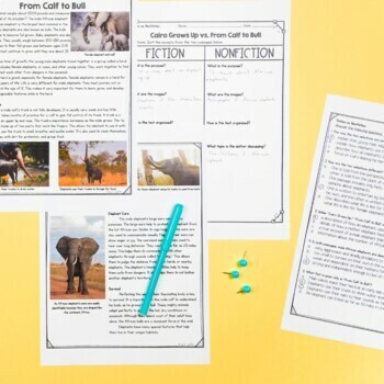 1st Grade Reading Comprehension Skills & Strategies Passages Questions Activity - Image 4